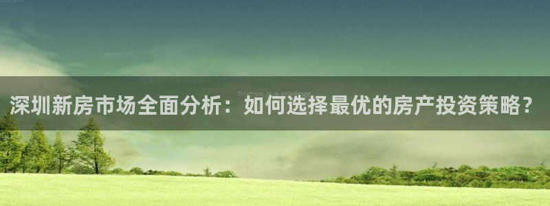 新宝5手机下载：深圳新房市场全面分析：如何选择最优的房产投资