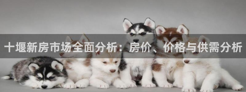 新宝5注册流程：十堰新房市场全面分析：房价、价格与供需分析