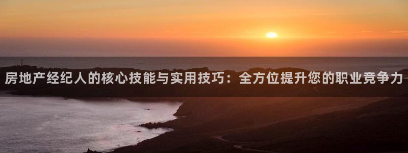 i新宝5：房地产经纪人的核心技能与实用技巧：全方位提升您的职