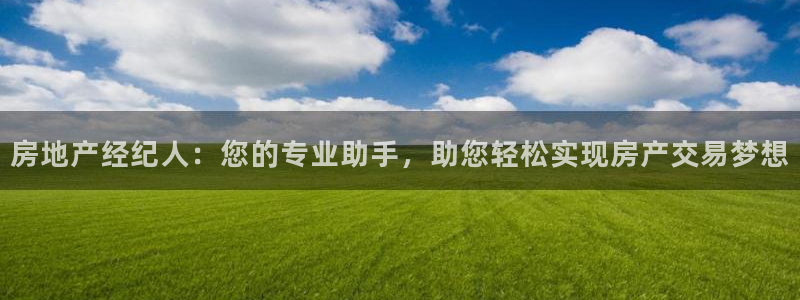 新宝5娱乐代理：房地产经纪人：您的专业助手，助您轻松实现房产