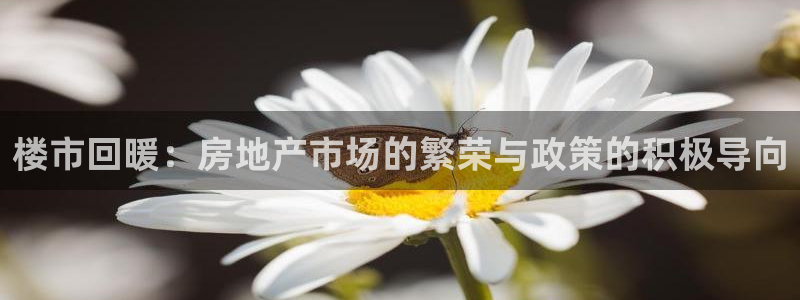 新宝5是什么样子的：楼市回暖：房地产市场的繁荣与政策的积极导