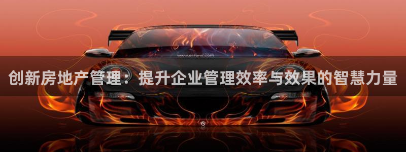 新5宝：创新房地产管理：提升企业管理效率与效果的智慧力量