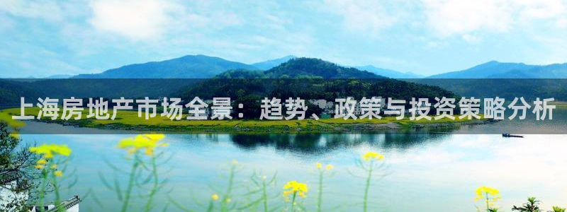 新宝3得74OO5：上海房地产市场全景：趋势、政策与投资策略