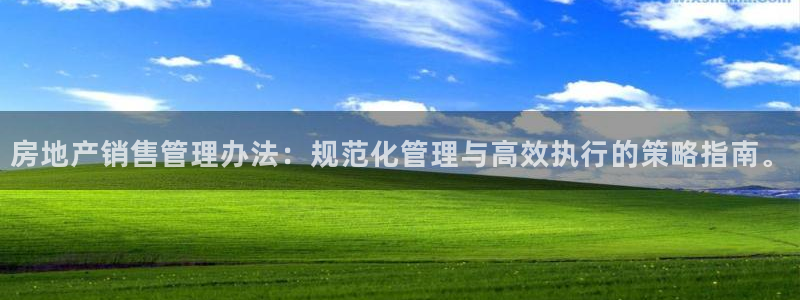 新宝5下载网址：房地产销售管理办法：规范化管理与高效执行的策