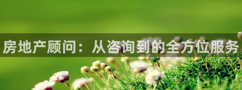 新5宝：房地产顾问：从咨询到的全方位服务
