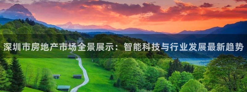 新宝gg5：深圳市房地产市场全景展示：智能科技与行业发展最新