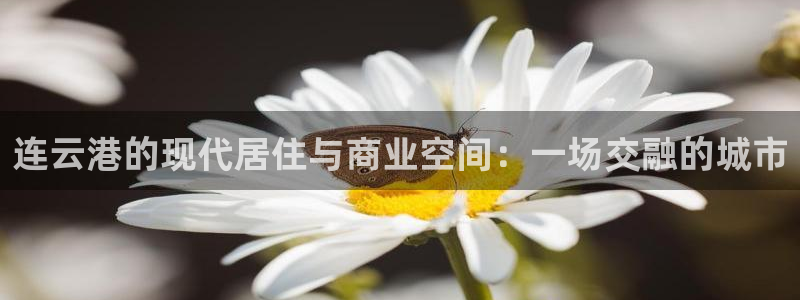 新宝5d：连云港的现代居住与商业空间：一场交融的城市