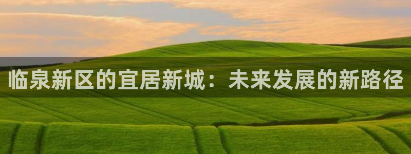 新宝5是谁：临泉新区的宜居新城：未来发展的新路径