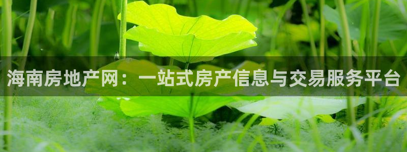 新宝5平台注册：海南房地产网：一站式房产信息与交易服务平台