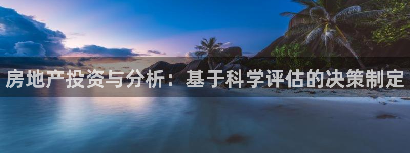 新5宝：房地产投资与分析：基于科学评估的决策制定