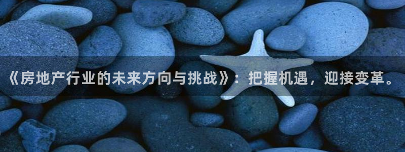 新宝5娱乐代理