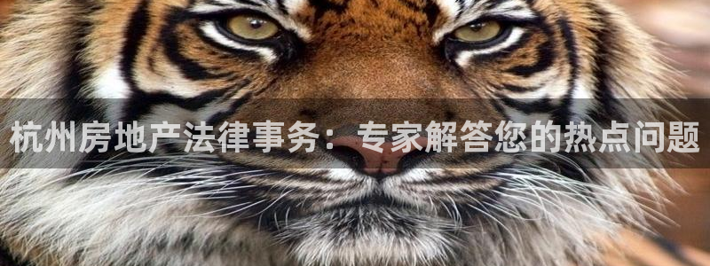 新宝注5册：杭州房地产法律事务：专家解答您的热点问题