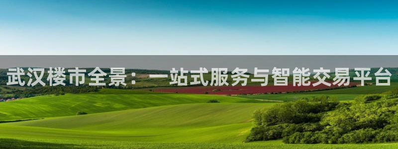 新宝5网：武汉楼市全景：一站式服务与智能交易平台