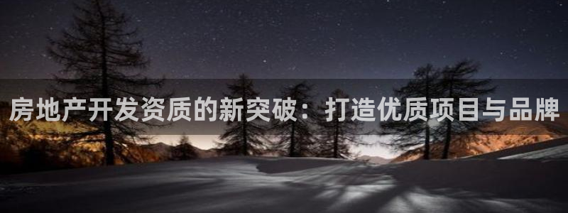 有人知道新宝5么：房地产开发资质的新突破：打造优质项目与品牌