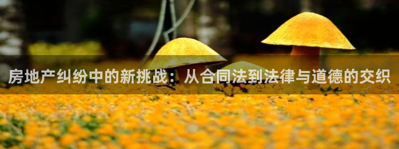 新宝5娱乐多：房地产纠纷中的新挑战：从合同法到法律与道德的交