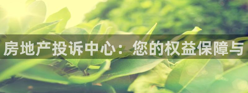 新宝5客户端登录：房地产投诉中心：您的权益保障与