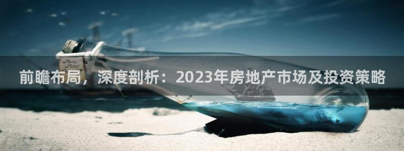 新宝5平台咋样：前瞻布局，深度剖析：2023年房地产市场及投