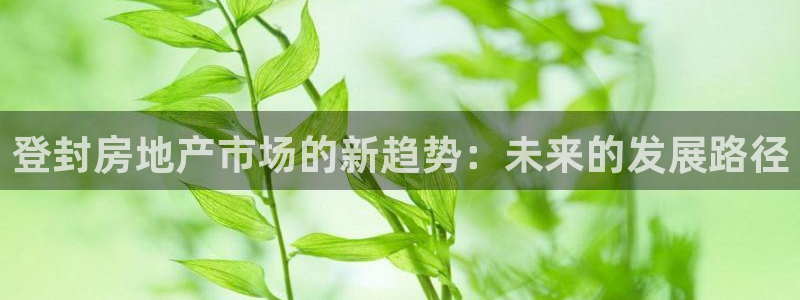 新宝5地址：登封房地产市场的新趋势：未来的发展路径