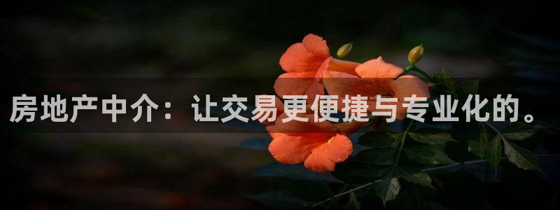 新宝5手机平台登陆：房地产中介：让交易更便捷与专业化的。