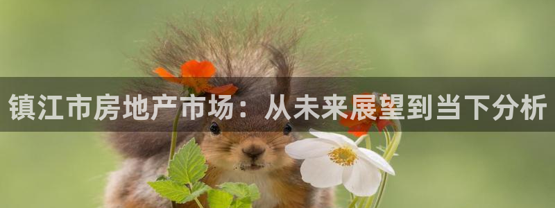 新宝5怎么代理：镇江市房地产市场：从未来展望到当下分析