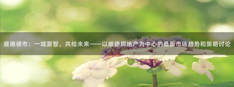 新宝5如何注册登录：顺德楼市：一城聚智，共绘未来——以顺德房