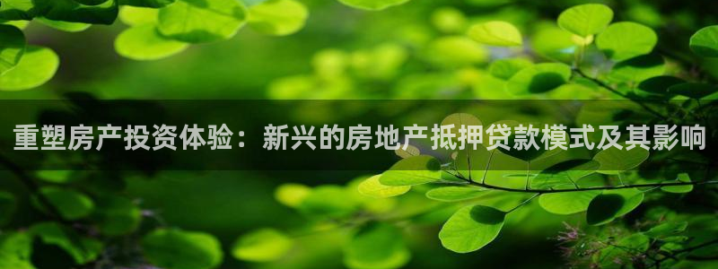 新宝5下载注册：重塑房产投资体验：新兴的房地产抵押贷款模式及