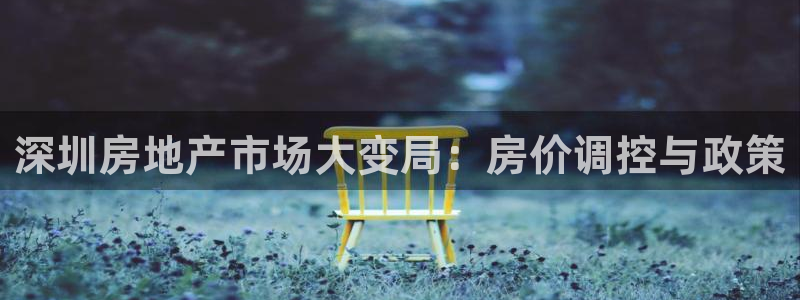 新宝5手机登录：深圳房地产市场大变局：房价调控与政策