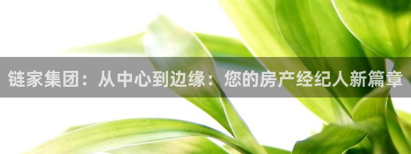 新宝rc_5w：链家集团：从中心到边缘：您的房产经纪人新篇章