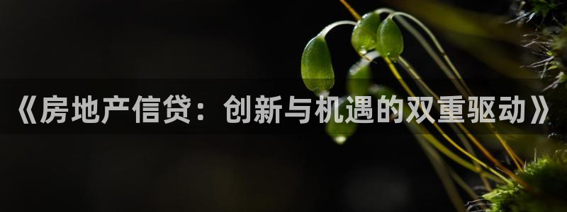 新宝5彩票平台登陆：《房地产信贷：创新与机遇的双重驱动》