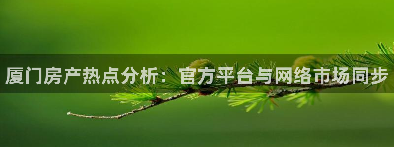 新宝5系列：厦门房产热点分析：官方平台与网络市场同步