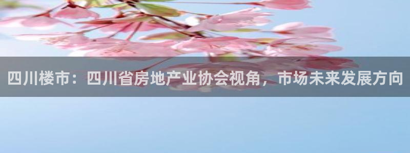 新宝5电脑：四川楼市：四川省房地产业协会视角，市场未来发展方