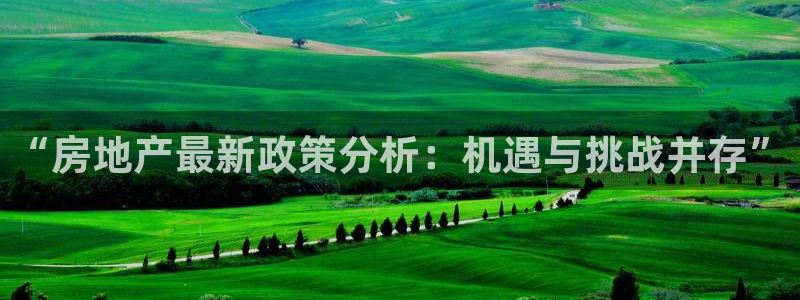 新宝5手机app：“房地产最新政策分析：机遇与挑战并存”