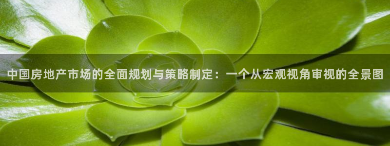 新宝5吴74OOO5：中国房地产市场的全面规划与策略制定：一