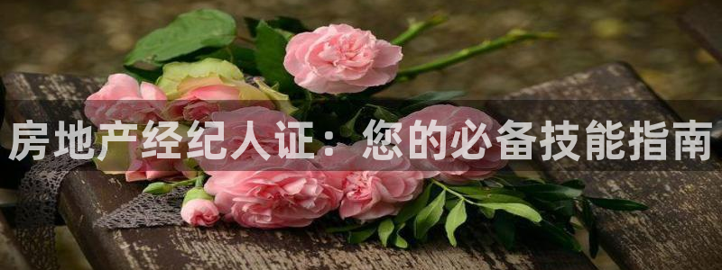 新宝5线路登录检测：房地产经纪人证：您的必备技能指南