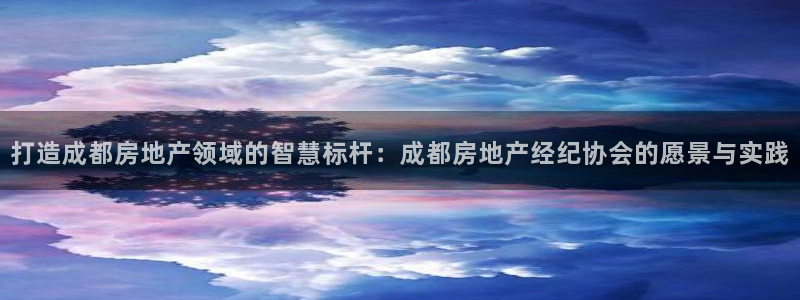 新宝5公司：打造成都房地产领域的智慧标杆：成都房地产经纪协会