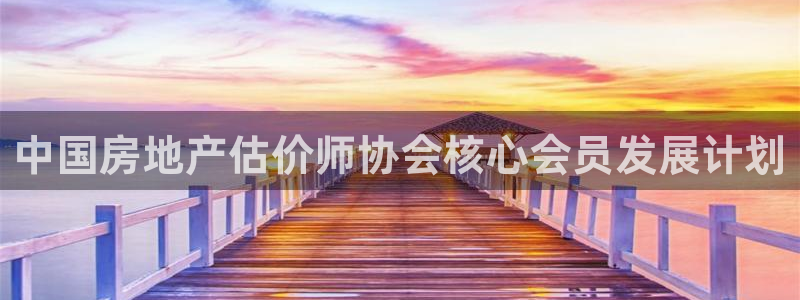 新宝测速5：中国房地产估价师协会核心会员发展计划
