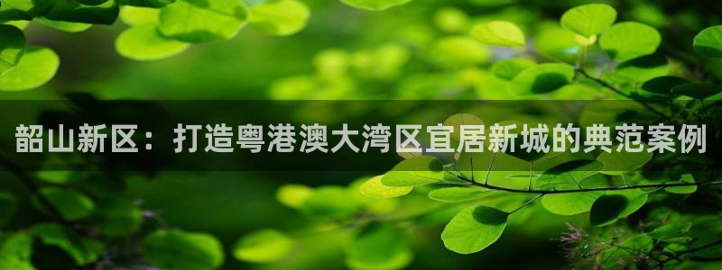 新宝5公司：韶山新区：打造粤港澳大湾区宜居新城的典范案例