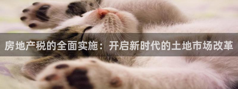 新宝5娱乐注册：房地产税的全面实施：开启新时代的土地市场改革