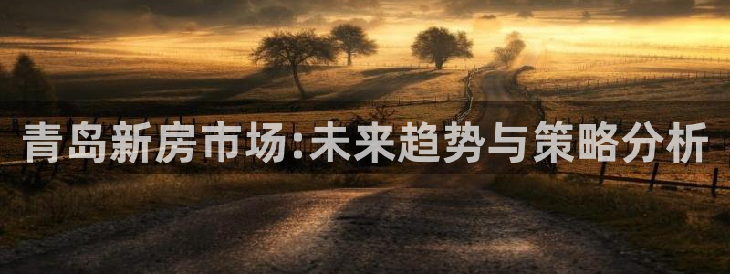 新宝5新宝6顺达