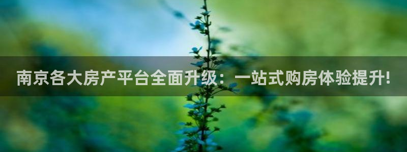 新宝5网址：南京各大房产平台全面升级：一站式购房体验提升!