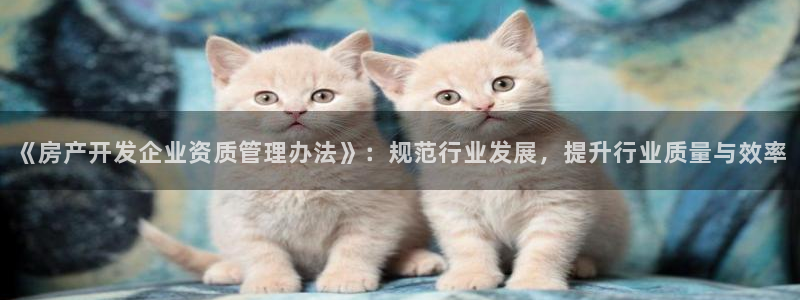 新宝5地址：《房产开发企业资质管理办法》：规范行业发展，提升