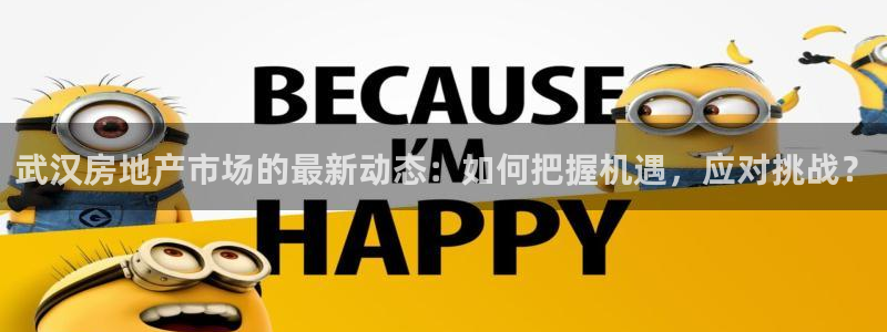 新宝5入口：武汉房地产市场的最新动态：如何把握机遇，应对挑战
