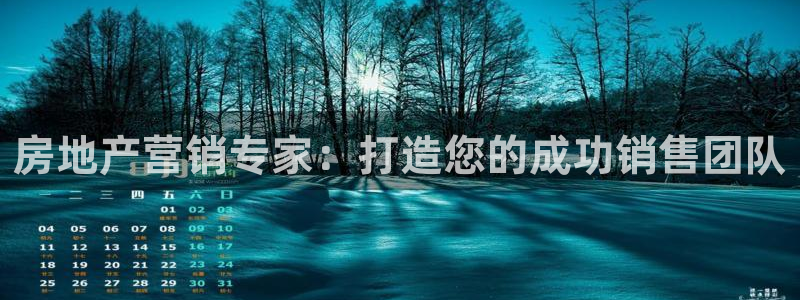 新宝5系列：房地产营销专家：打造您的成功销售团队