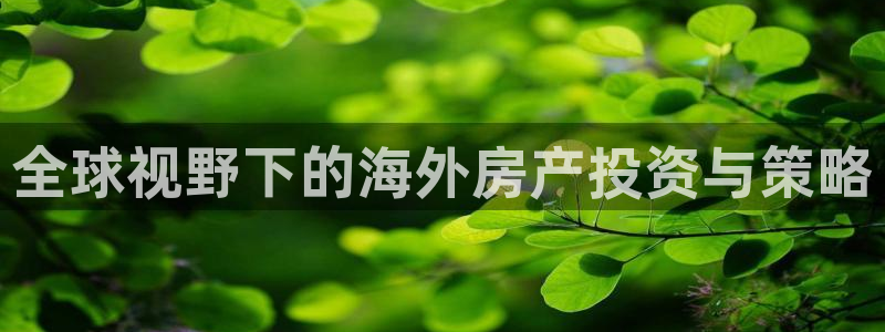 新宝5测速平台登录：全球视野下的海外房产投资与策略