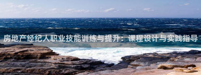 新宝5是谁：房地产经纪人职业技能训练与提升：课程设计与实践指