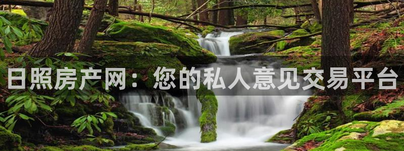 新宝5手机下载：日照房产网：您的私人意见交易平台