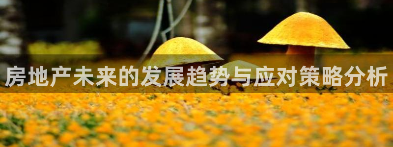 下载新宝5：房地产未来的发展趋势与应对策略分析