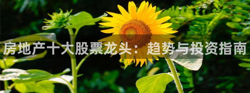 新宝gg5：房地产十大股票龙头：趋势与投资指南