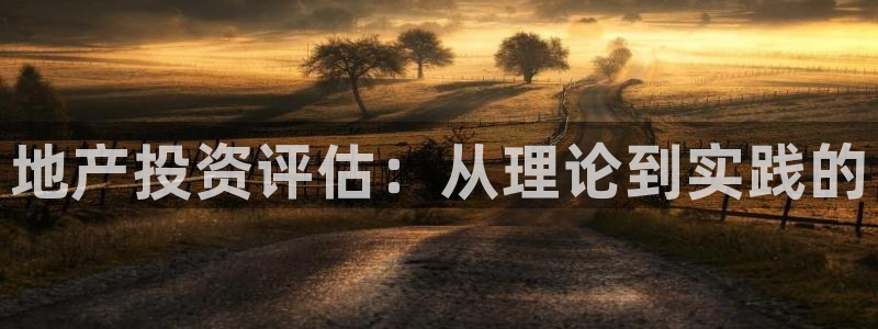 新宝5登录注册：地产投资评估：从理论到实践的