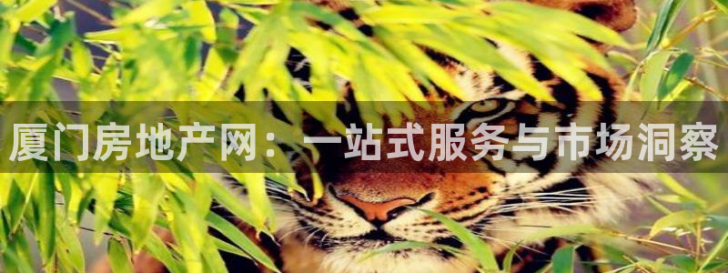 新宝5五：厦门房地产网：一站式服务与市场洞察